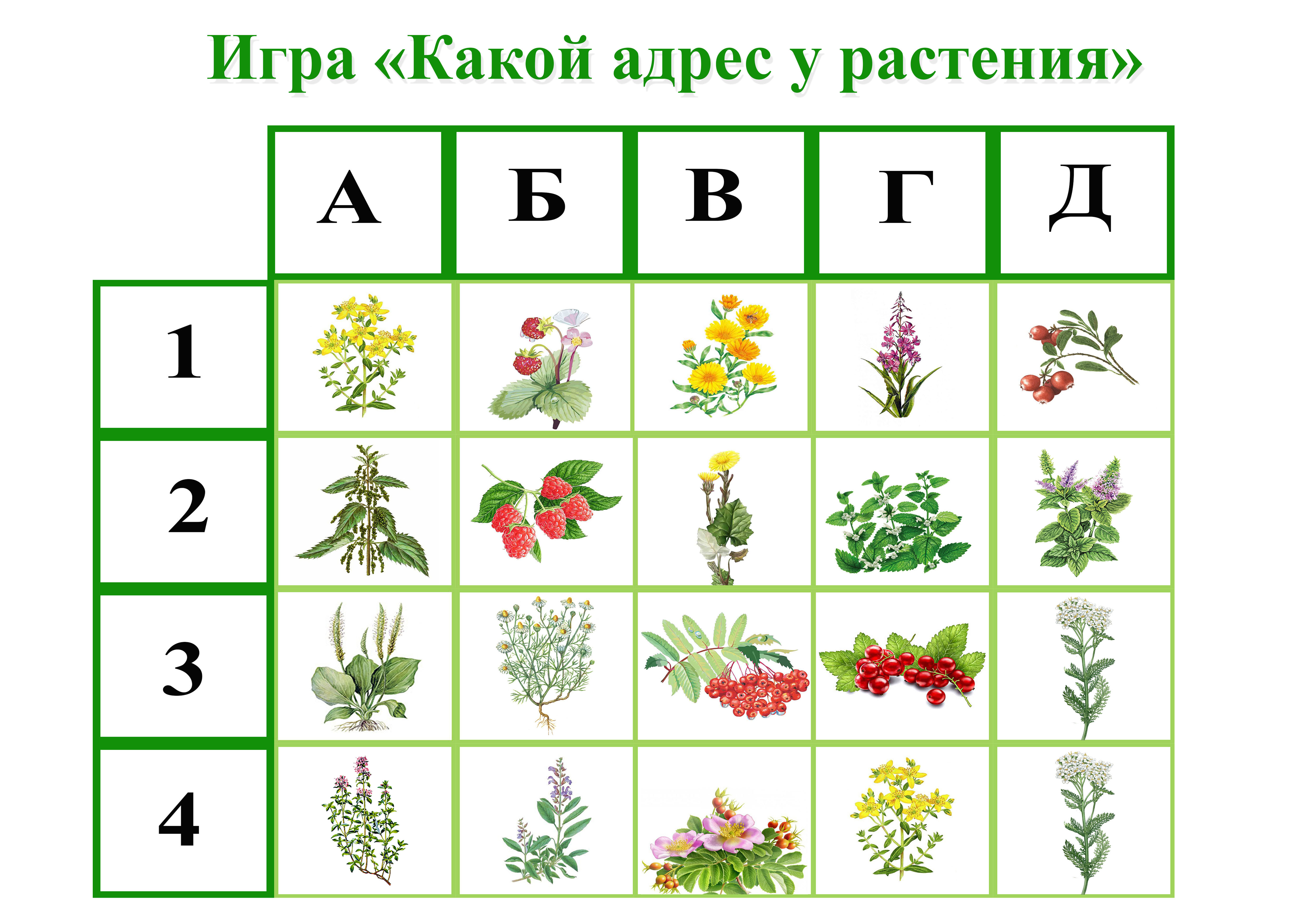 Мои игры - Персональный сайт воспитателя Чечелевой Александры Бориcовны